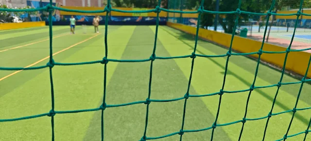 Turf photo 2