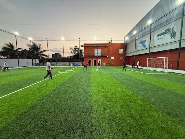 Turf photo 3