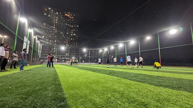 Turf photo 2