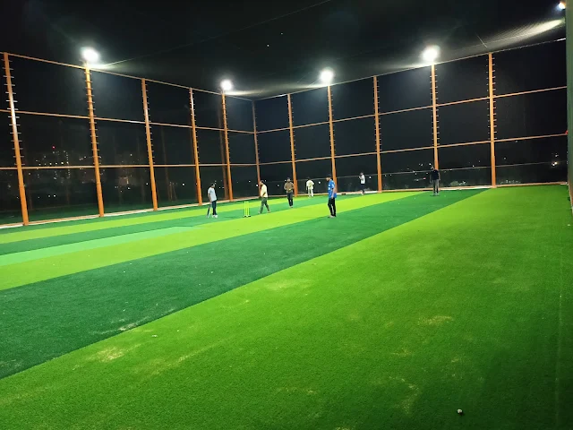 Turf photo 2