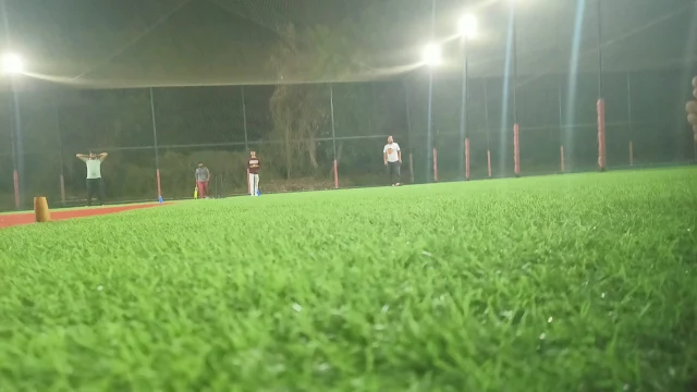 Turf photo 2