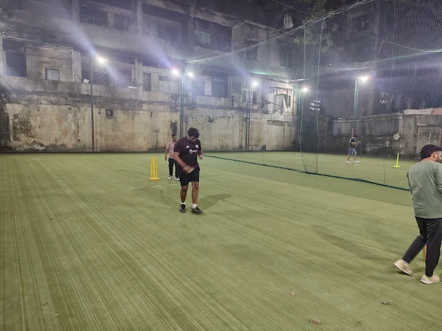 Turf photo 3