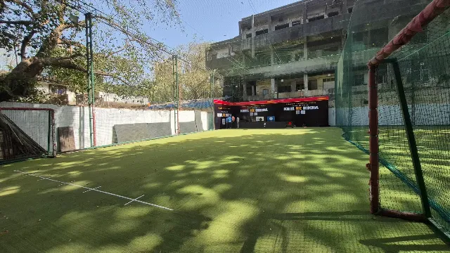 Turf main photo