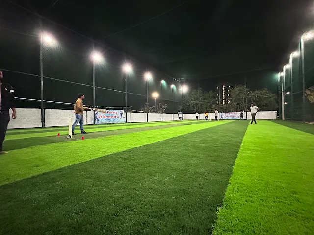 Turf photo 3