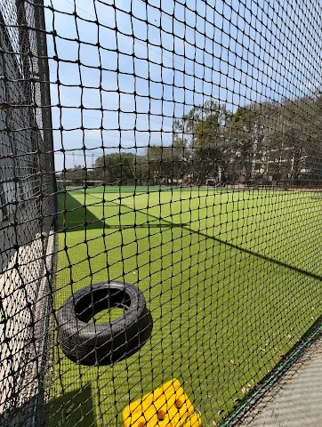 Turf photo 4