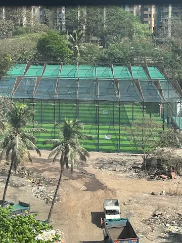 Turf photo 5