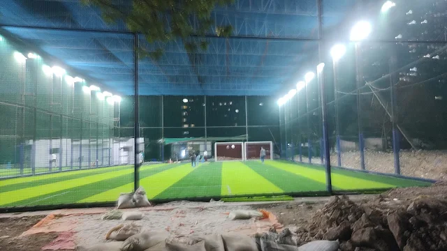 Turf photo 3