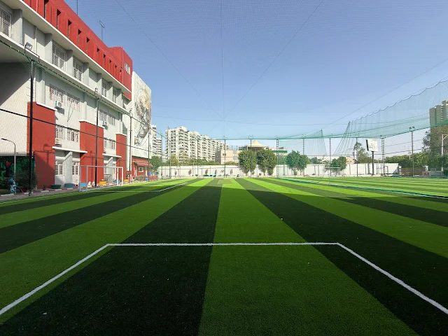 Turf photo 2