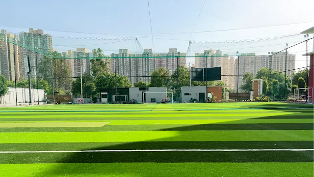 Turf main photo