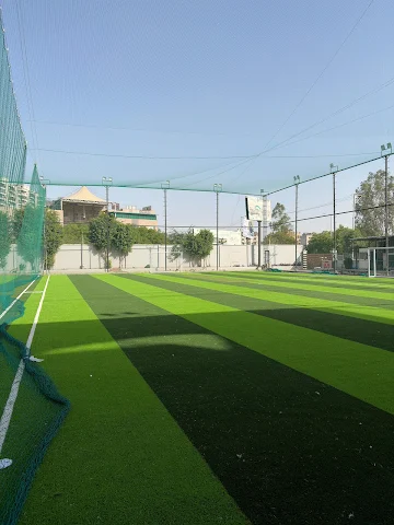 Turf photo 4