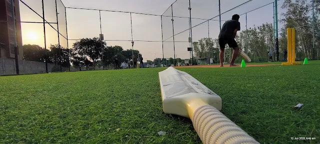 Turf photo 2