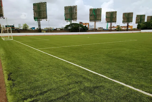 Turf photo 9