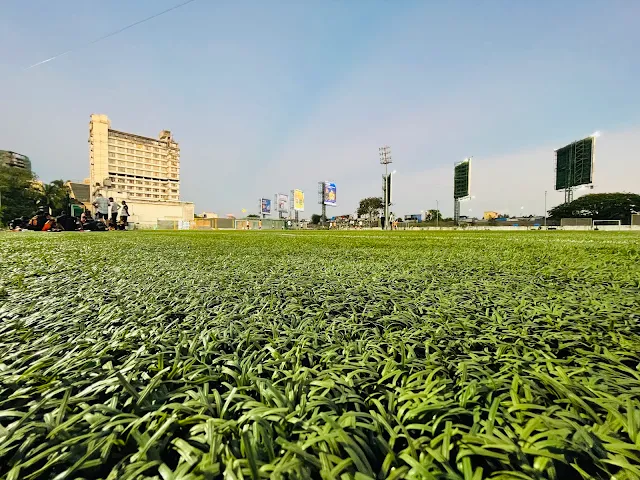 Turf photo 12