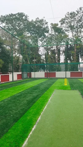Turf photo 4