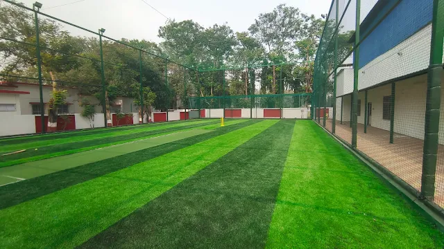 Turf photo 2