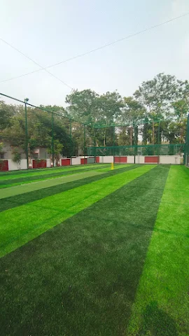 Turf photo 3