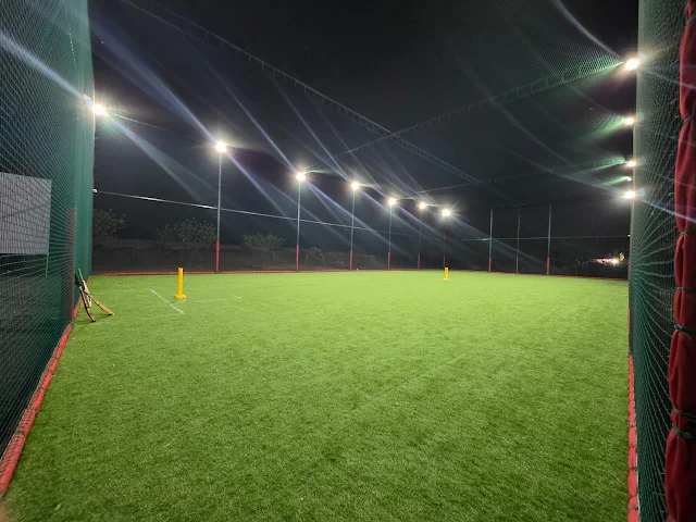 Turf photo 2