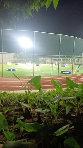 Turf photo 6