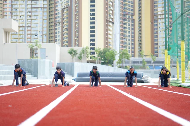 Turf photo 7