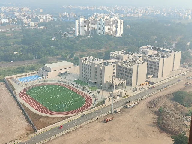 Turf photo 2