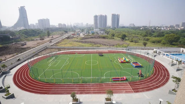 Turf main photo