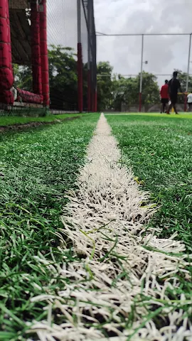 Turf photo 5