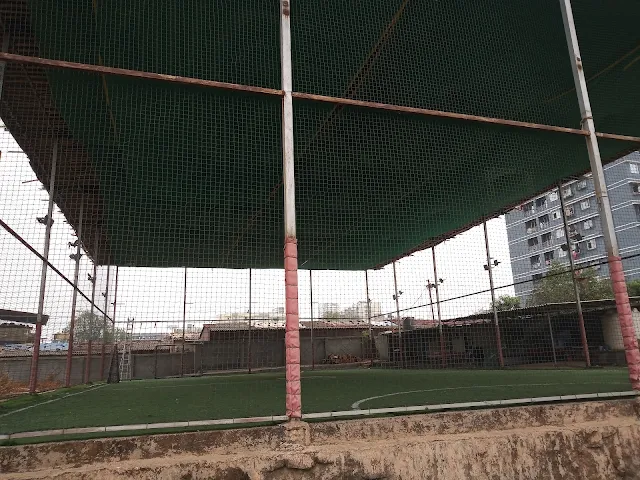 Turf photo 4