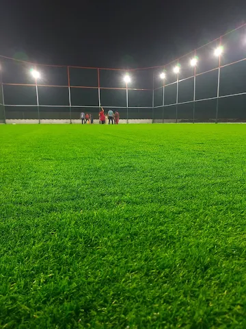 Turf photo 5