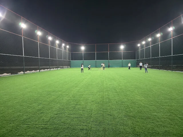 Turf photo 2