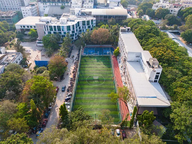 Turf main photo