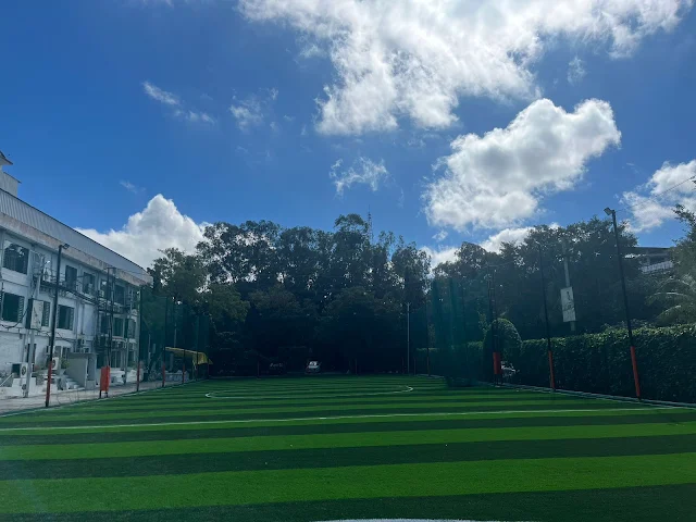 Turf photo 2