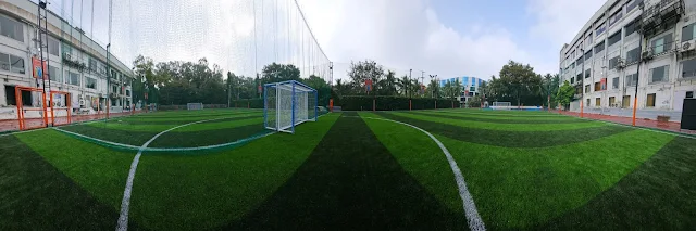 Turf photo 9