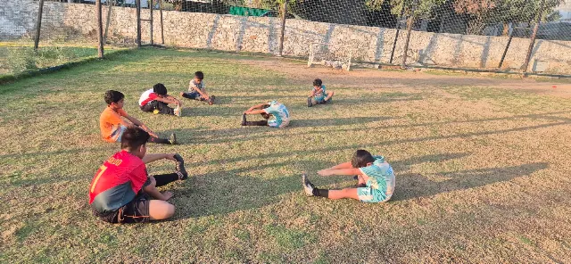 Pavilion Park Udaipur - Sports Turf in Udaipur
