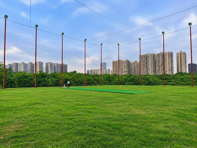 Turf photo 2