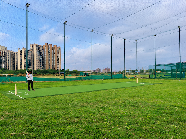 Turf main photo