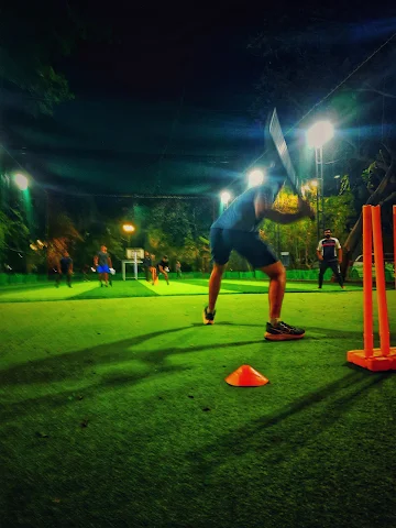 Turf photo 5