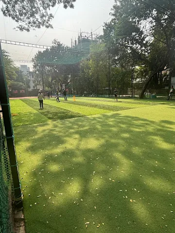 Turf photo 6