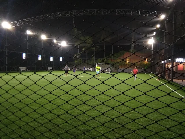 Turf photo 3