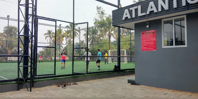 Turf photo 4