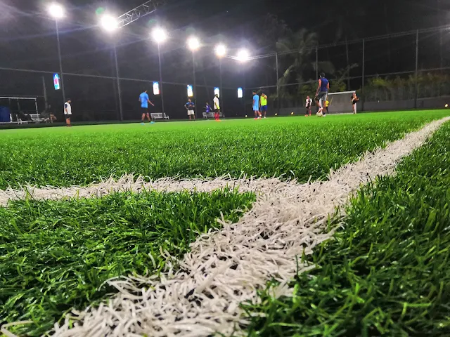 Turf photo 2