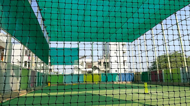 Turf photo 5