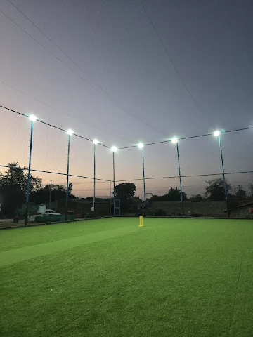 Turf photo 2