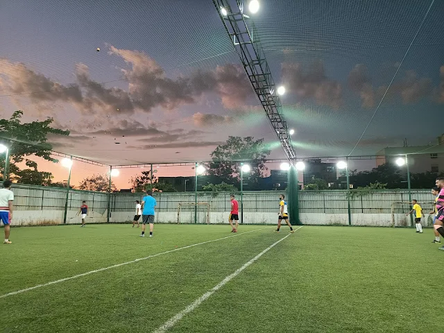 Turf photo 3
