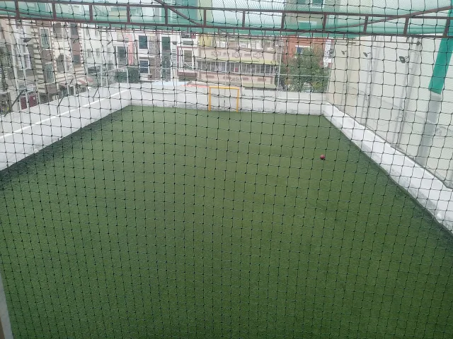 Turf photo 5