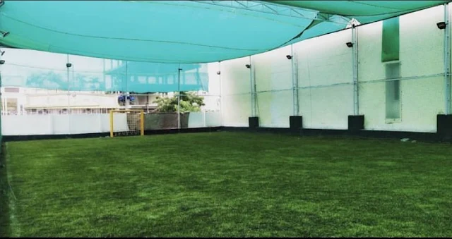 Turf photo 2