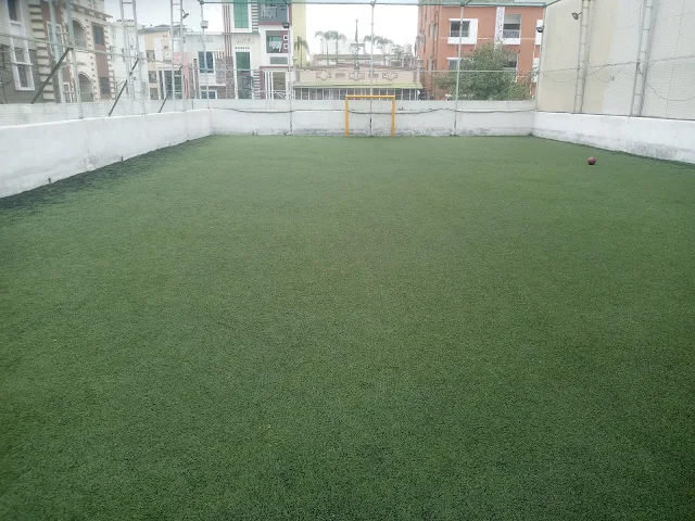 Turf photo 4
