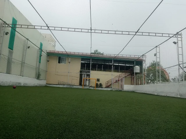 Turf photo 3