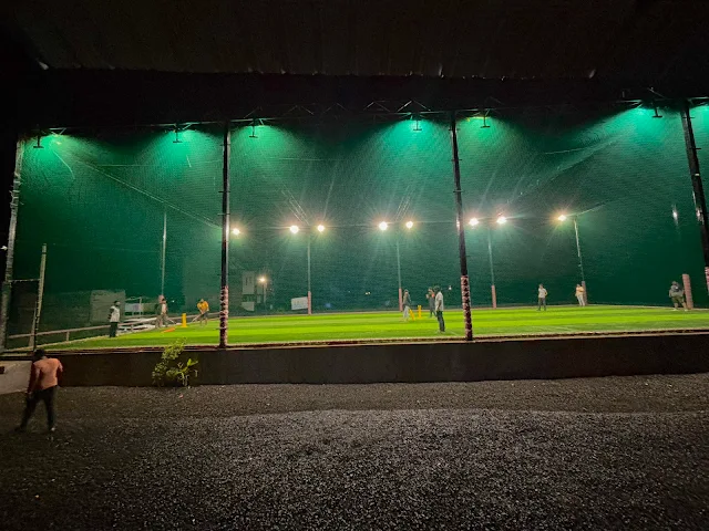 Turf photo 2