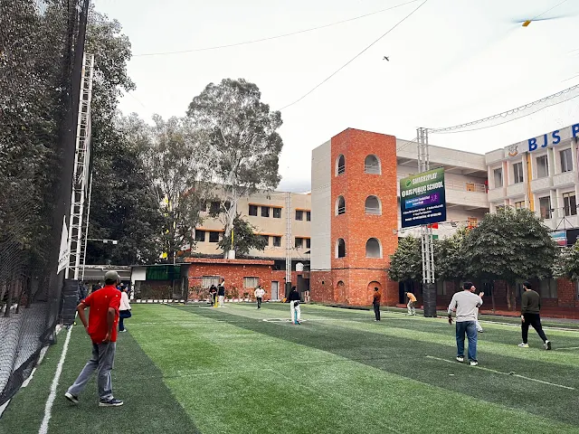 Turf photo 2