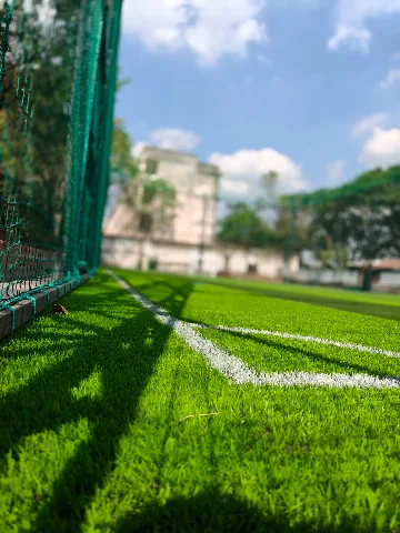 Turf photo 3